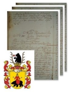 Kosiński herbu Rawicz