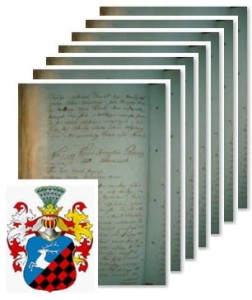 Kamiński herbu Midvelb v. Brochwicz V