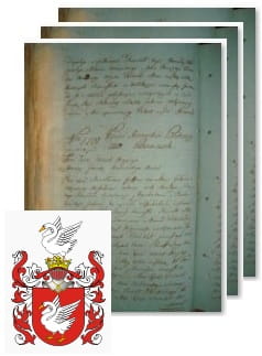 Przykładowe zdjęcie wywodu rodowitości szlacheckiej z 1802 roku, stron 3.jpg