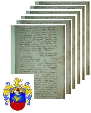 Przykładowe zdjęcie wywodu rodowitości szlacheckiej z 1802 roku, stron 6.jpg