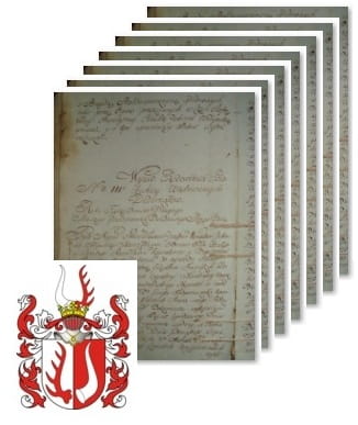 Przykładowe zdjęcie wywodu rodowitości szlacheckiej z 1802 roku, stron 7.jpg