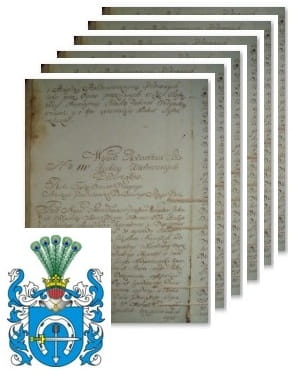 Przykładowe zdjęcie wywodu rodowitości szlacheckiej z 1802 roku, stron 6.jpg