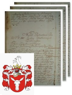 Przykładowe zdjęcie wywodu rodowitości szlacheckiej z 1802 roku, stron 3.jpg