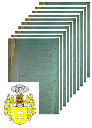 Przykładowe zdjęcie wywodu rodowitości szlacheckiej z 1802 roku, stron 10.jpg
