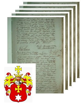 Przykładowe zdjęcie wywodu rodowitości szlacheckiej z 1802 roku, stron 5.jpg