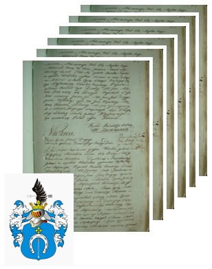 Przykładowe zdjęcie wywodu rodowitości szlacheckiej z 1802 roku, stron 6.jpg