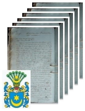 Przykładowe zdjęcie wywodu rodowitości szlacheckiej z 1808 roku, stron 6.jpg