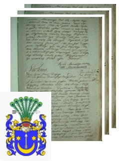 Przykładowe zdjęcie wywodu rodowitości szlacheckiej z 1802 roku, stron 3.jpg