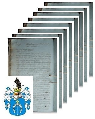 Przykładowe zdjęcie wywodu rodowitości szlacheckiej z 1808 roku, stron 8.jpg