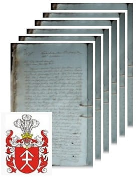 Przykładowe zdjęcie wywodu rodowitości szlacheckiej z 1804 roku, stron 6.jpg