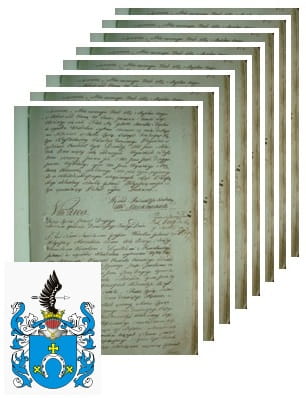 Przykładowe zdjęcie wywodu rodowitości szlacheckiej z 1802 roku, stron 8.jpg