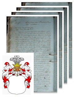 Przykładowe zdjęcie wywodu rodowitości szlacheckiej z 1809 roku, stron 4.jpg