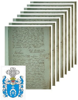 Przykładowe zdjęcie wywodu rodowitości szlacheckiej z 1802 roku, stron 8.jpg