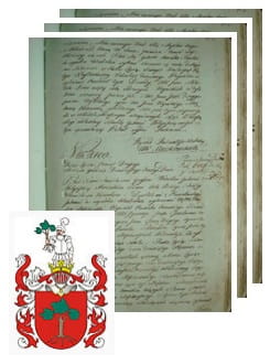 Przykładowe zdjęcie wywodu rodowitości szlacheckiej z 1802 roku, stron 3.jpg