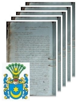 Przykładowe zdjęcie wywodu rodowitości szlacheckiej z 1816 roku, stron 5.jpg