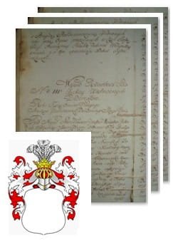 Przykładowe zdjęcie wywodu rodowitości szlacheckiej z 1802 roku, stron 3.jpg