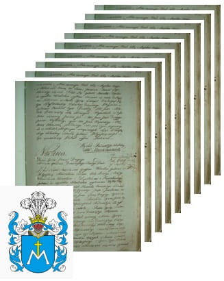 Przykładowe zdjęcie wywodu rodowitości szlacheckiej z 1802 roku, stron 9.jpg