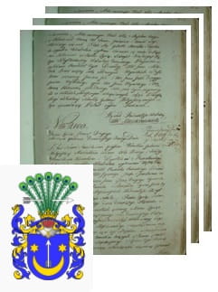 Przykładowe zdjęcie wywodu rodowitości szlacheckiej z 1802 roku, stron 3.jpg