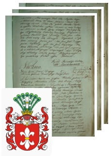 Przykładowe zdjęcie wywodu rodowitości szlacheckiej z 1802 roku, stron 3.jpg