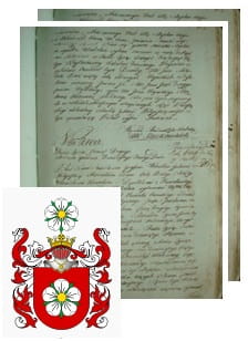 Przykładowe zdjęcie wywodu rodowitości szlacheckiej z 1802 roku, stron 2.jpg