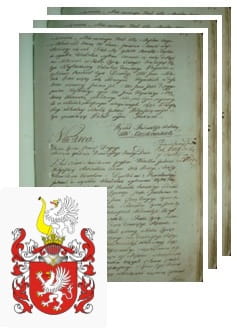 Przykładowe zdjęcie wywodu rodowitości szlacheckiej z 1802 roku, stron 3.jpg