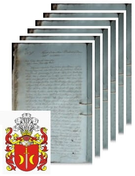 Przykładowe zdjęcie wywodu rodowitości szlacheckiej z 1805 roku, stron 6.jpg