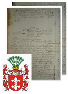 Przykładowe zdjęcie wywodu rodowitości szlacheckiej z 1802 roku, stron 2.jpg