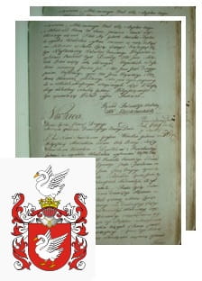 Przykładowe zdjęcie wywodu rodowitości szlacheckiej z 1802 roku, stron 2.jpg