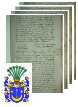 Przykładowe zdjęcie wywodu rodowitości szlacheckiej z 1802 roku, stron 4.jpg