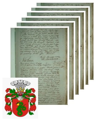 Przykładowe zdjęcie wywodu rodowitości szlacheckiej z 1802 roku, stron 6.jpg