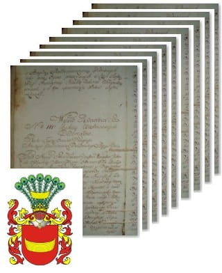 Przykładowe zdjęcie wywodu rodowitości szlacheckiej z 1802 roku, stron 9.jpg