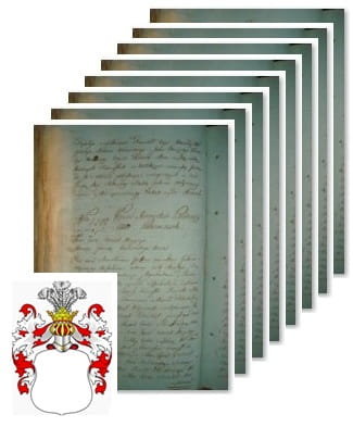 Przykładowe zdjęcie wywodu rodowitości szlacheckiej z 1802 roku, stron 8.jpg