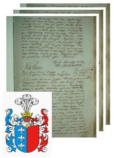 Przykładowe zdjęcie wywodu rodowitości szlacheckiej z 1802 roku, stron 3.jpg