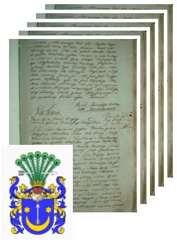 Przykładowe zdjęcie wywodu rodowitości szlacheckiej z 1802 roku, stron 5.jpg