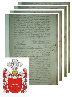 Przykładowe zdjęcie wywodu rodowitości szlacheckiej z 1802 roku, stron 4.jpg