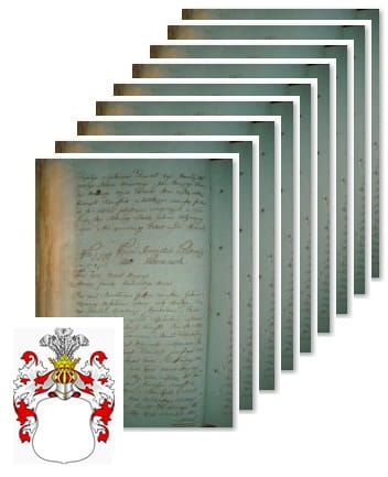 Przykładowe zdjęcie wywodu rodowitości szlacheckiej z 1802 roku, stron 10.jpg