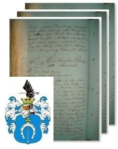 Przykładowe zdjęcie wywodu rodowitości szlacheckiej z 1802 roku, stron 3.jpg