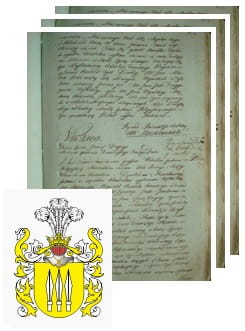 Przykładowe zdjęcie wywodu rodowitości szlacheckiej z 1802 roku, stron 3.jpg