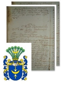 Przykładowe zdjęcie wywodu rodowitości szlacheckiej z 1802 roku, stron 2.jpg