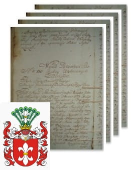 Przykładowe zdjęcie wywodu rodowitości szlacheckiej z 1802 roku, stron 4.jpg