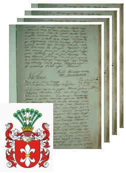 Przykładowe zdjęcie wywodu rodowitości szlacheckiej z 1802 roku, stron 4.jpg