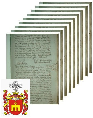 Przykładowe zdjęcie wywodu rodowitości szlacheckiej z 1802 roku, stron 9.jpg