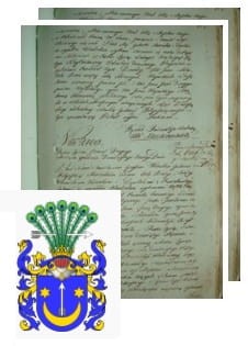 Przykładowe zdjęcie wywodu rodowitości szlacheckiej z 1802 roku, stron 2.jpg