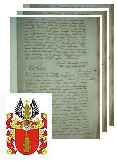 Przykładowe zdjęcie wywodu rodowitości szlacheckiej z 1802 roku, stron 3.jpg