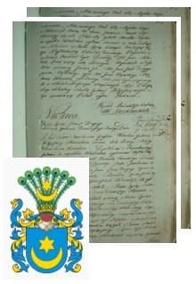 Przykładowe zdjęcie wywodu rodowitości szlacheckiej z 1802 roku, stron 2.jpg