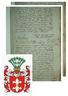 Przykładowe zdjęcie wywodu rodowitości szlacheckiej z 1802 roku, stron 2.jpg