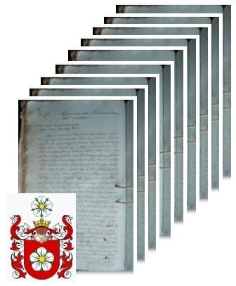 Przykładowe zdjęcie wywodu rodowitości szlacheckiej z 1809 roku, stron 9.jpg