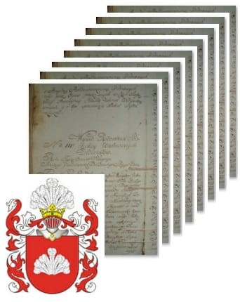 Przykładowe zdjęcie wywodu rodowitości szlacheckiej z 1802 roku, stron 8.jpg