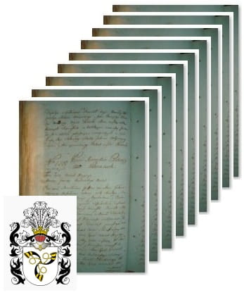 Przykładowe zdjęcie wywodu rodowitości szlacheckiej z 1802 roku, stron 17.jpg