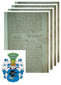 Przykładowe zdjęcie wywodu rodowitości szlacheckiej z 1802 roku, stron 4.jpg